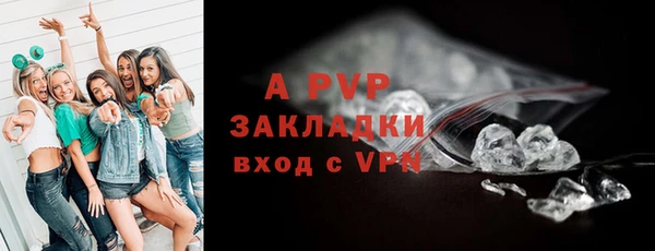 сатива Зеленокумск