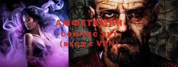 сатива Зеленокумск