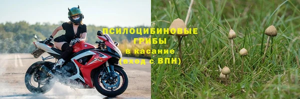 дмт Зерноград