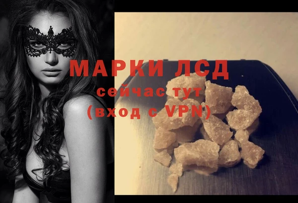 сатива Зеленокумск