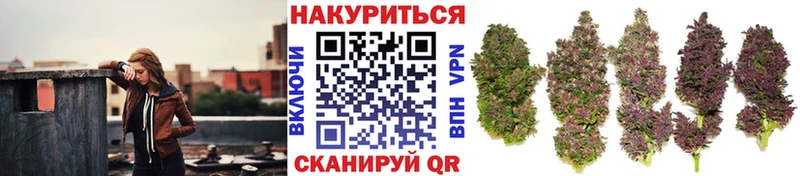 купить закладку  ОМГ ОМГ ссылки  Конопля VHQ  Шлиссельбург 